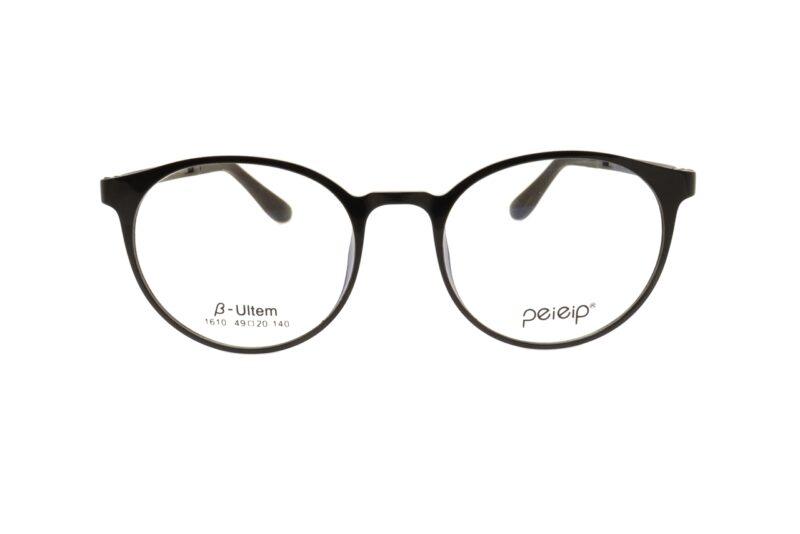 PEIEIP 16101