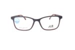 JLB10211