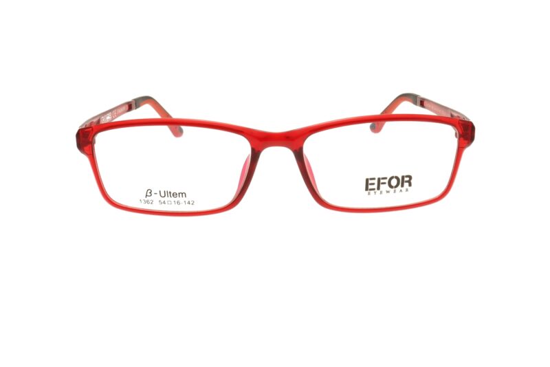 EFOR 13621