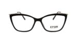 EFRO GR21021