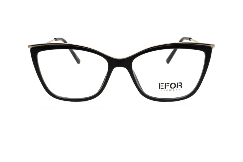 EFRO GR21021